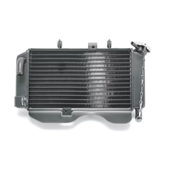 CF Moto 250 NK Radyatör OEM 23-...