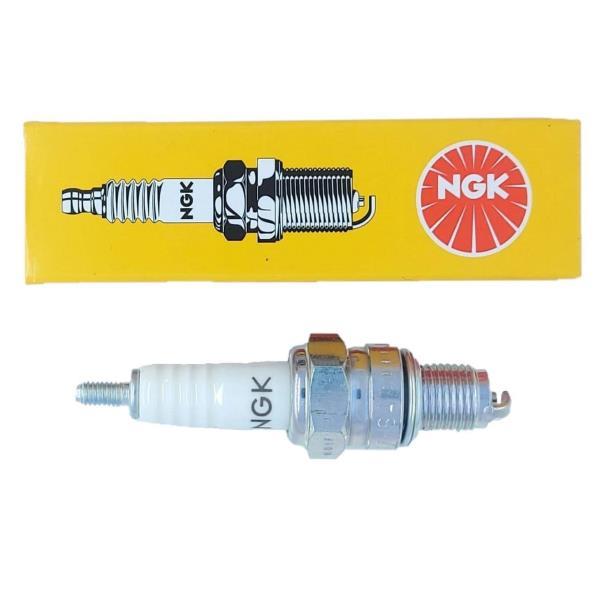 Arora Cappucino 125 Buji NGK