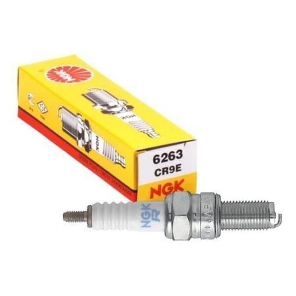 Yamaha R25 Buji NGK